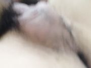 小哥佩奇第二部探探约啪极品身材的美臀D奶