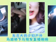 东北大奶少妇户外马路桥下与炮友直播啪啪