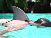 妹子室外浴室里和猛男调情小嘴吃超大鸡巴有点小恐怖猛插后入逼逼真怕干爆子宫