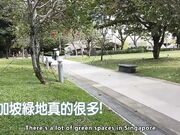 吴梦梦疫情解封后的新加披性爱内射之旅-然后辗转美国体验巨根的快乐之旅！