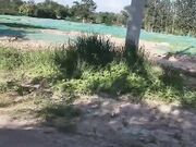 和老铁户外车震 老铁羞涩不敢车震 深喉口交裹硬了迫不及待插入 对白有趣