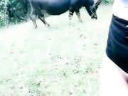 白嫩爆乳美女 勾搭放牛帅哥野战啪啪 无套抽插猛操 内射玩就走了太无情了