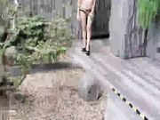 中午外出偷情做爱全身热情感受旁边还是学校可以清楚听到老师在上课得声音