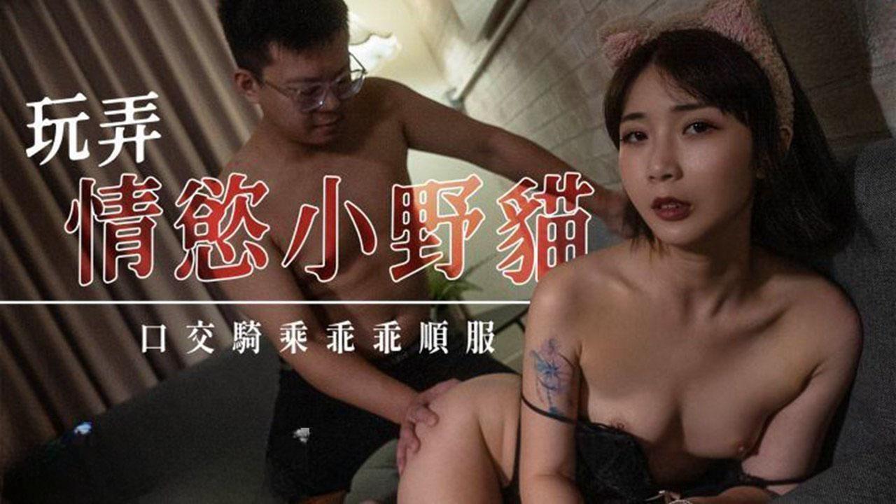 玩弄情欲小野猫