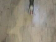 喝着优酸乳 穿着开档蕾丝 大鸡巴打大奶按在床上就是干 没憋住内射里面