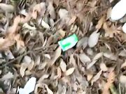 今天天气好晴朗 带学生妹钻进小树林里野战一把 美乳细腰小翘臀