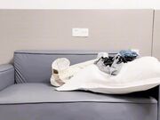 瘦猴勾搭良家_97年偷情小少妇_背着老公捶胸顿足
