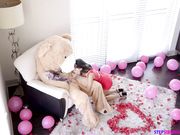 情人节男主穿上大熊给女友惊喜 被自己妹妹误会成是自己的男友 于是...
