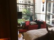外企富婆淫荡至极普通屌已经满足不了追求极限约两个身材魁梧的黑人玩3P双洞齐开