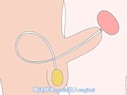 思春期性爱第2话今天，来我家集合！