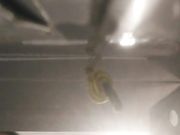 穿上肉丝口交按着被操的呻吟连连喊舒服