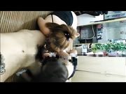 纹身姐妹极品双飞