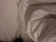 刚刮完鸡巴毛的屌哥和女同学开房