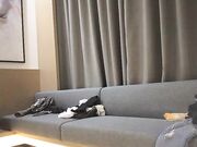 91沈先生探花约了两个妹子玩双飞，穿上黑丝手指摸逼口交舔菊