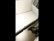 极品御姐AVO完美身材情趣蓝旗袍超美诱惑沙发推倒无套爆操高潮内射