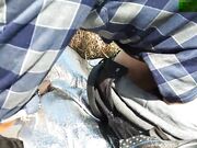 最新流出退休老干部拿着平板开发区溜达郊外荒地枯草丛里打地铺嫖妓