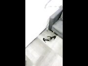 风骚女友骚起来很要命深喉口交鸡巴有点吃不消