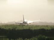东京故事之我的表妹 陈美惠