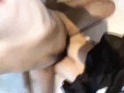 角色扮演18歲。鬼〇隊扮裝趁人不知情拔套中出